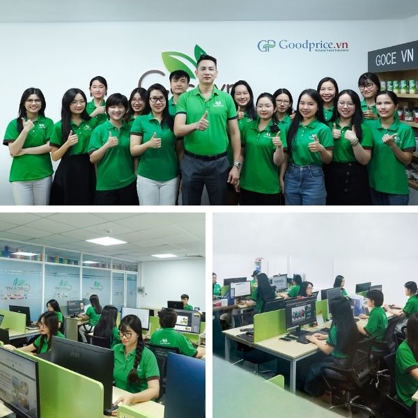 Môi Trường Làm Việc Chuyên Nghiệp & Gắn Kết Tại Goodprice Việt Nam