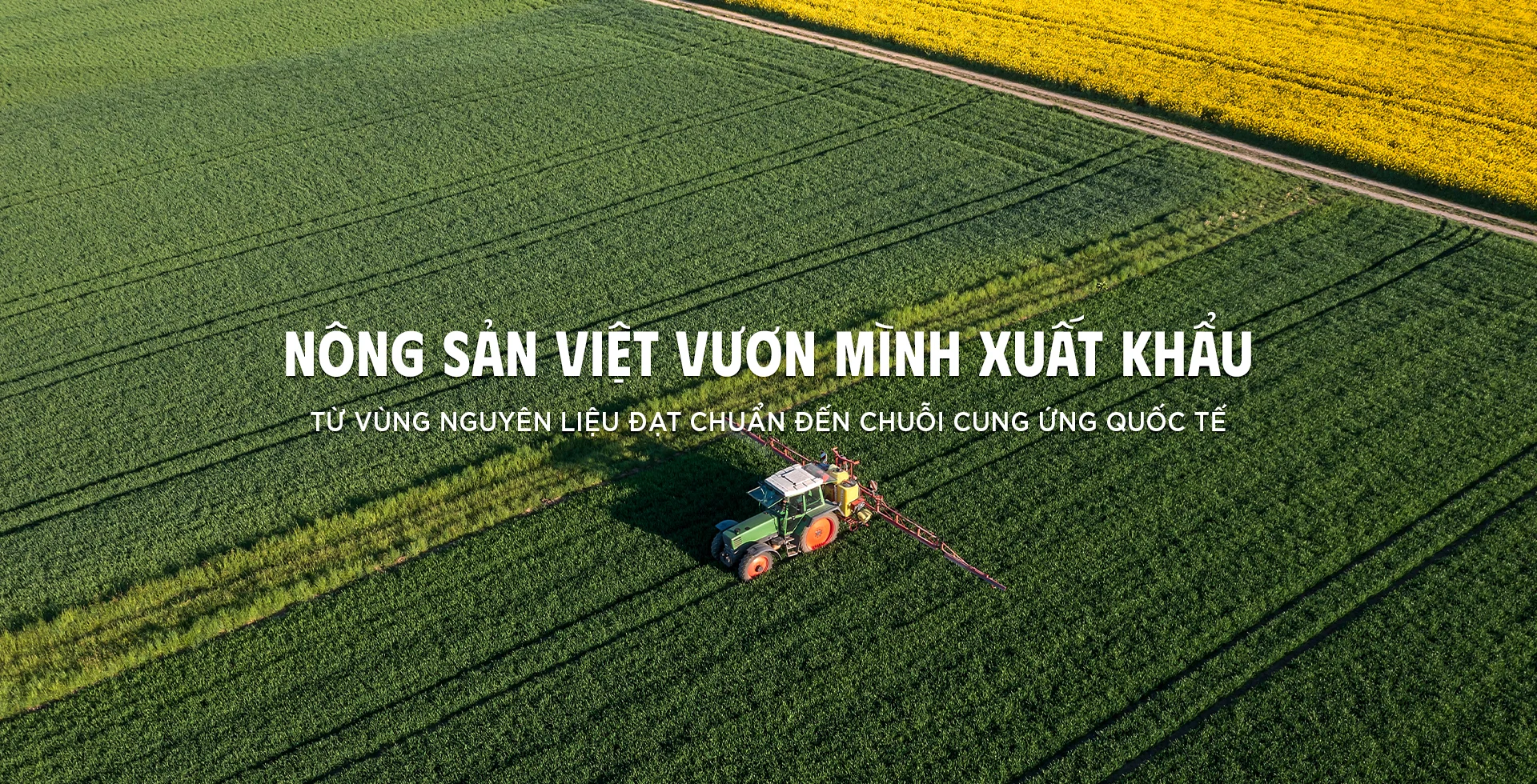 Banner nông sản việt vươn mình xuất khẩu