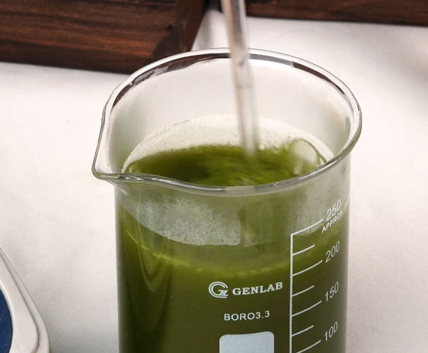 Bột Cần Tây Goce - 3G Bột Nhỏ Gọn, Giá Trị Như 90G Rau Tươi