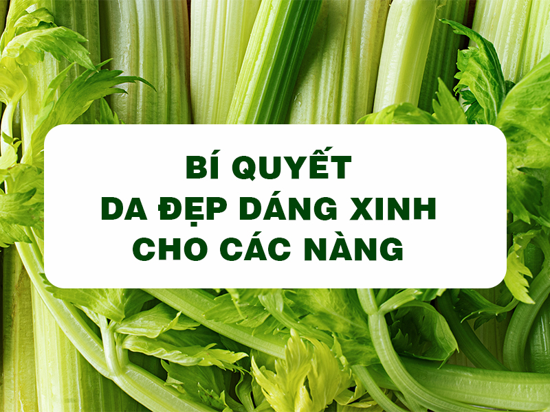 Bột Cần Tây Goce - Bí quyết da đẹp dáng xinh cho các nàng