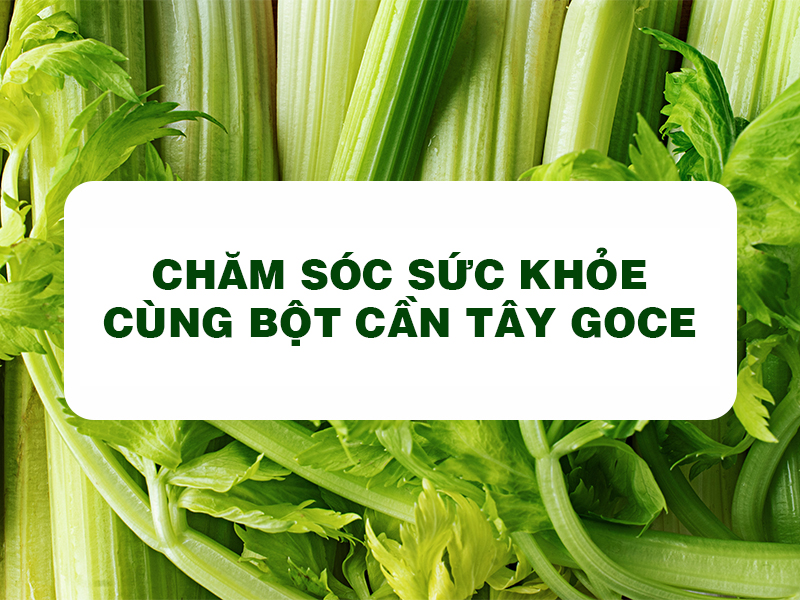 Bột Cần Tây Goce - Chăm sóc sức khỏe cùng bột cần tây Goce