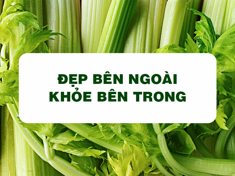 Bột Cần Tây Goce - Đẹp bên ngoài, khỏe bên trong