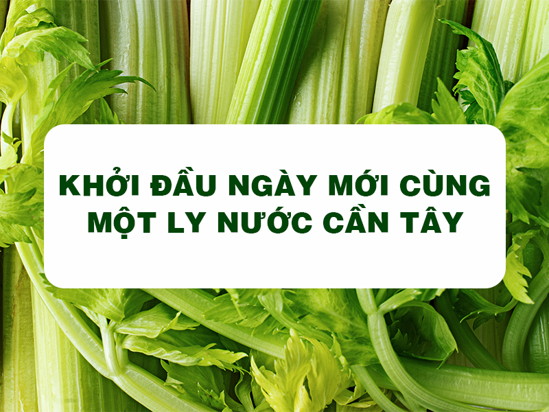 Goce Celery Powder - Start your day with a glass of celery water to detoxify your body