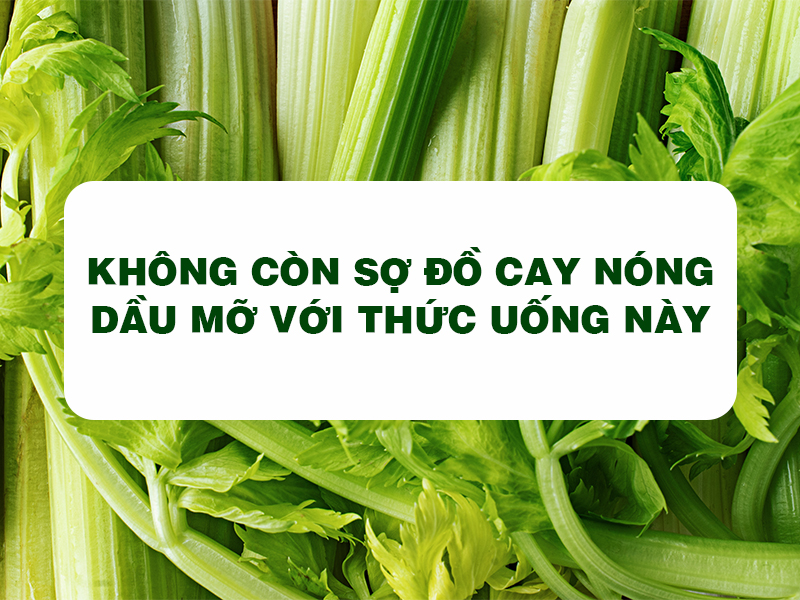 Bột Cần Tây Goce - Không còn sợ đồ cay nóng dầu mỡ với thức uống này