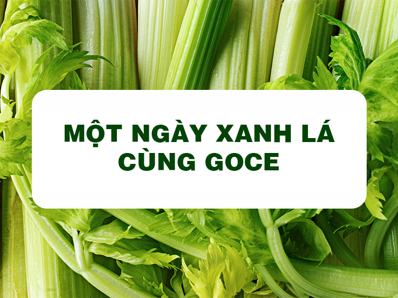 Bột Cần Tây Goce - Một ngày xanh lá cùng Goce