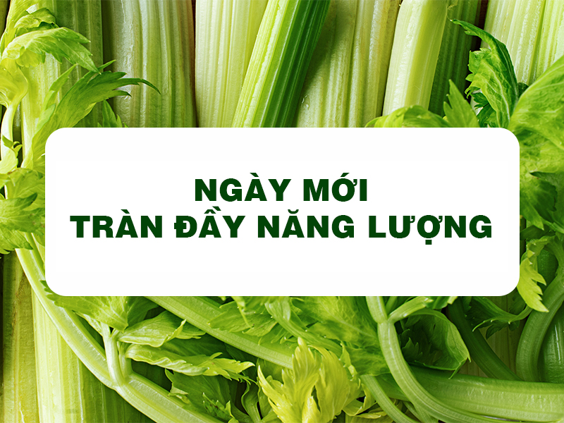 Bột Cần Tây Goce - Ngày mới tràn đầy năng lượng 