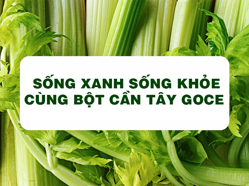 Bột Cần Tây Goce - Sống xanh sống khỏe cùng bột cần tây Goce 