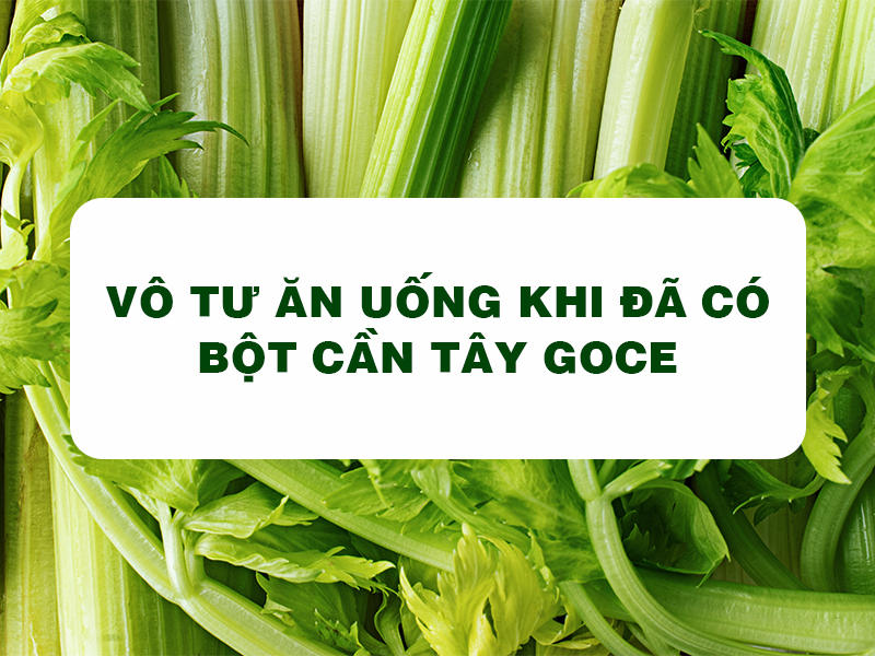 Bột Cần Tây Goce - Vô tư ăn uống khi đã có bột cần tây Goce 