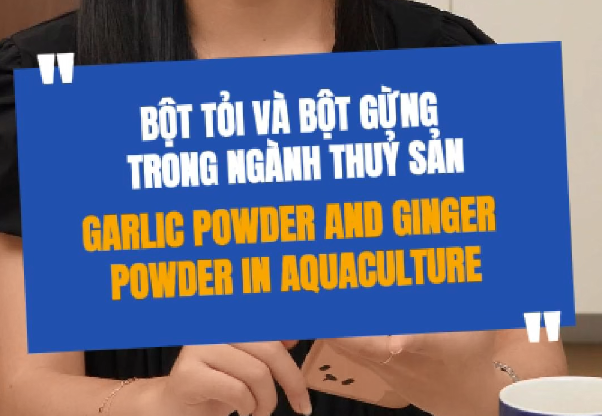 Garlic Powder and Ginger Powder Are Widely Used in the Seafood Industry