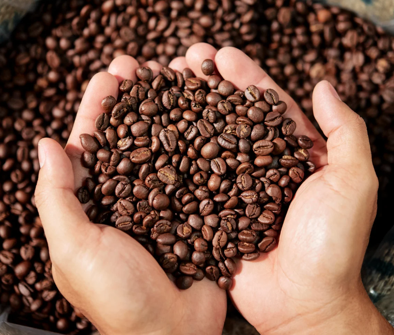 Great Coffee Doesn’T Come From Just One Bean – The Secret Lies In The Blend!