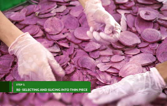 The Quality of Purple Sweet Potato Powder Begins with the Very First Steps