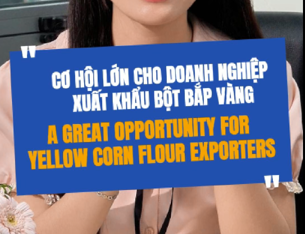 Cơ Hội Lớn Cho Doanh Nghiệp Xuất Khẩu Bột Bắp Vàng