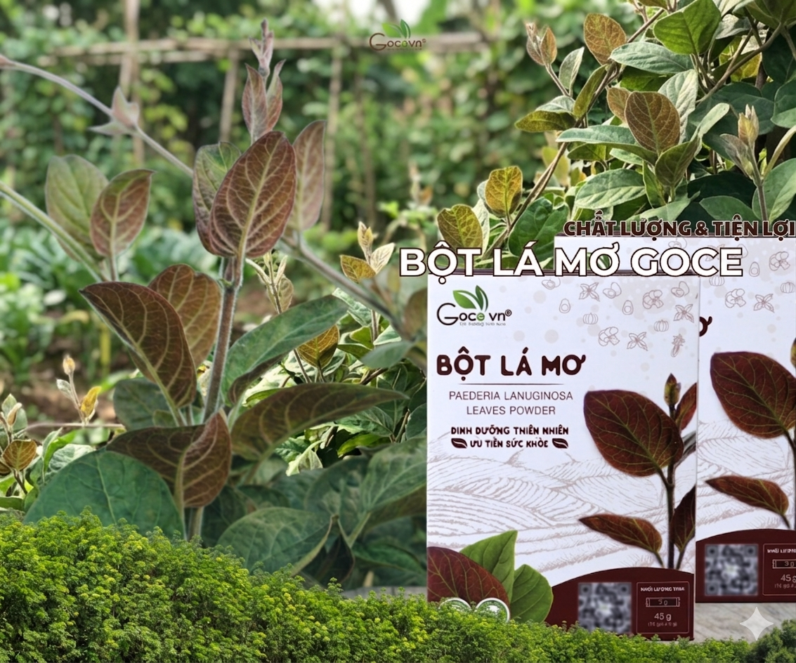 Benefits of Paederia Foetida Leaves: A Natural Solution for Poor Digestion