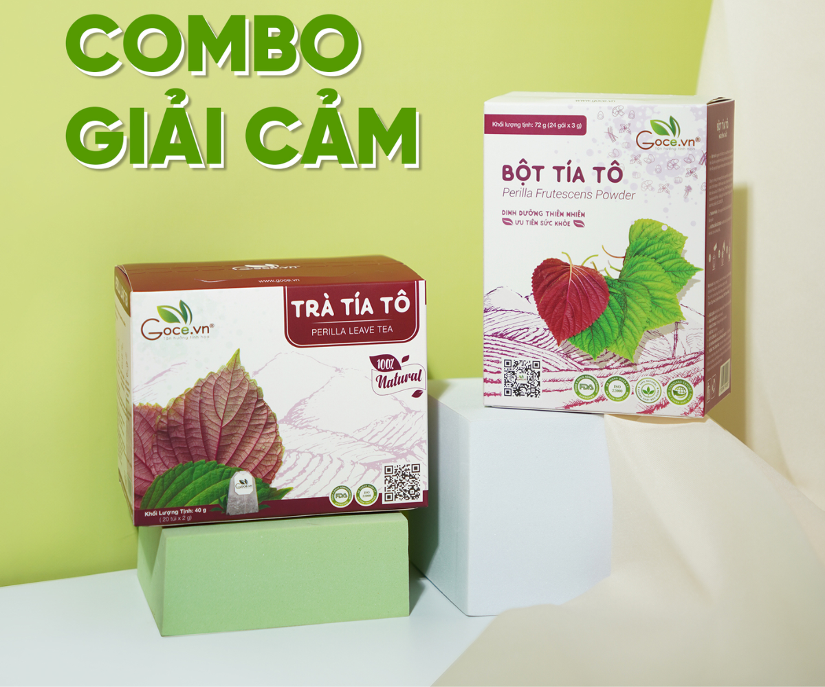 Khám Phá Công Dụng Combo Giải Cảm Tía Tô Goce
