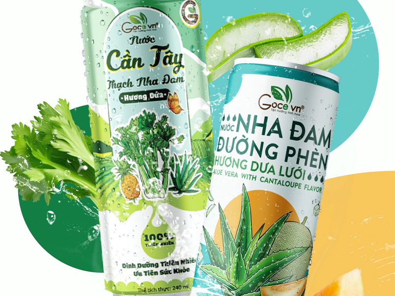 Nước Cần Tây Thạch Nha Đam Hương Dứa Goce & Nước Nha Đam Đường Phèn Hương Dưa Lưới Goce - Bộ đôi nước giải khát
