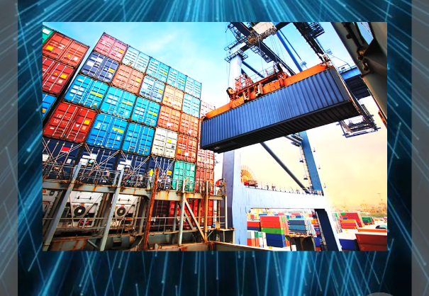 P1 - Wrong Container Drop-Off: A Real Situation No One Wants to Face