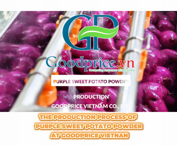 The Production Process Of Goodprice Purple Sweet Potato Powder