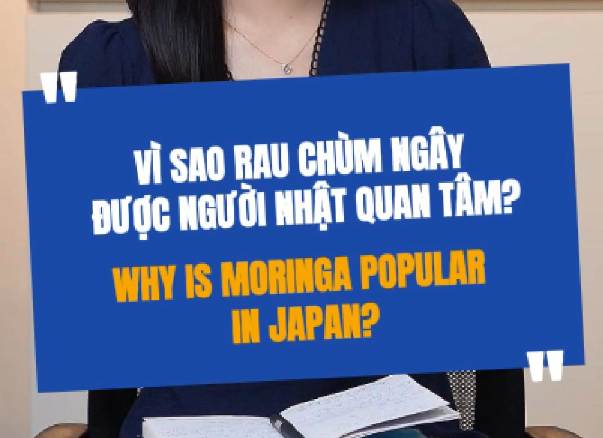 What Makes Moringa Leaves So Special That Japanese People Are Interested?