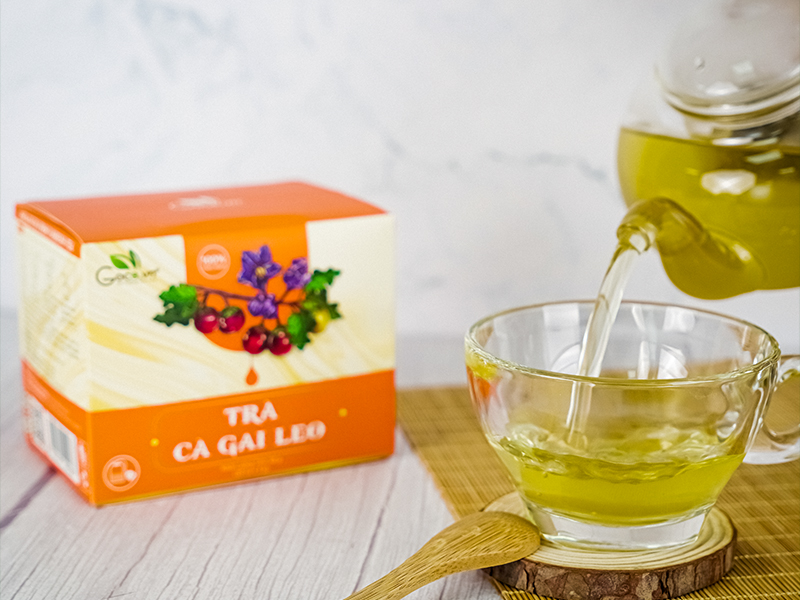 Goce Solanum Procumbens Tea - Health benefits