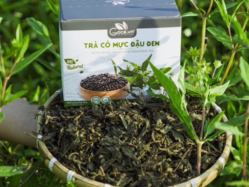 Goce Black Beans And Eclipta Prostrata Tea - What Are The Benefits?