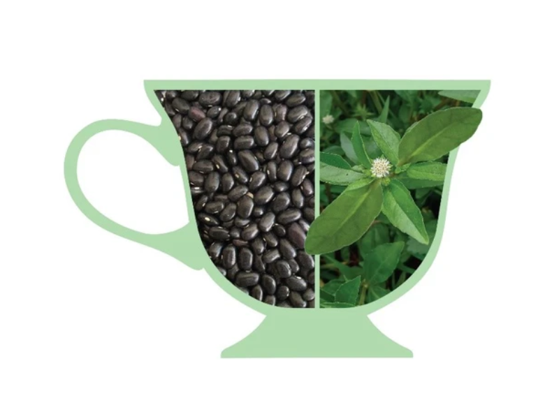 Goce Black Beans And Eclipta Prostrata Tea - Signs Of Aging