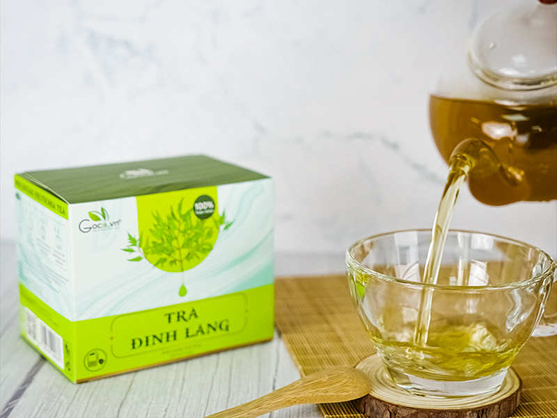 Goce Polyscias Fruticosa Tea - Things you need to know