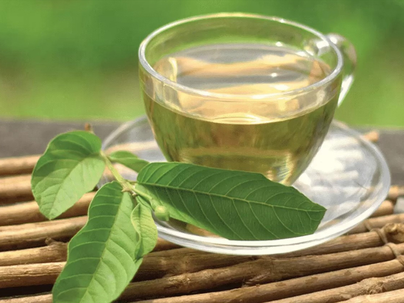 Goce Guava Leaves Tea - Is it really easy to drink?
