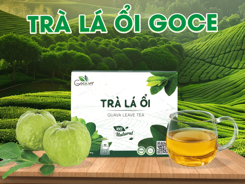 Goce Guava Leaves Tea - The ideal time to drink guava leaf tea helps forget the worry of choosing clothes size