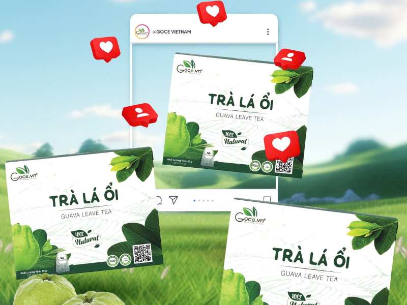 Goce Guava Leaves Tea - Who is guava leaves tea suitable for?