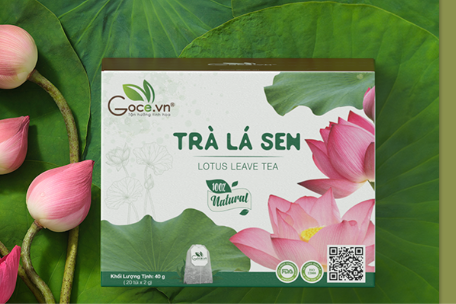 Trà Lá Sen Goce - Uống Trà Lá Sen Trước Khi Ngủ