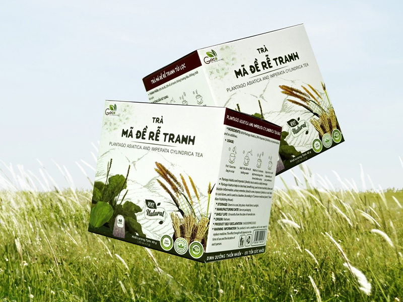 Trà Mã Đề Rễ Tranh Goce - Sự kết hợp hoàn hảo