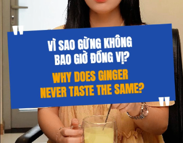 Why Doesn’t Ginger Powder Ever Taste the Same?