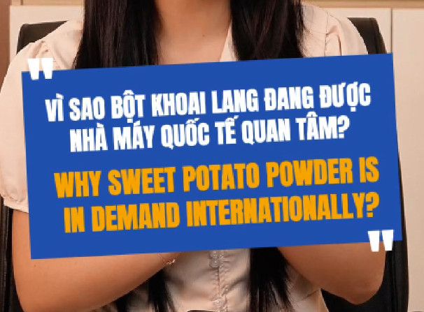 Vì Sao Bột Khoai Lang Đang Được Nhà Máy Quốc Tế Quan Tâm?