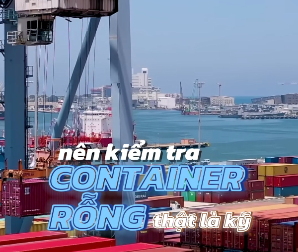 Vì Sao Cần Kiếm Tra Container Rỗng Trước Khi Đóng Hàng?
