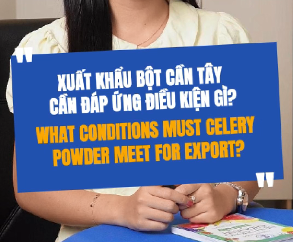 What Are the Key Requirements for Exporting Celery Powder?