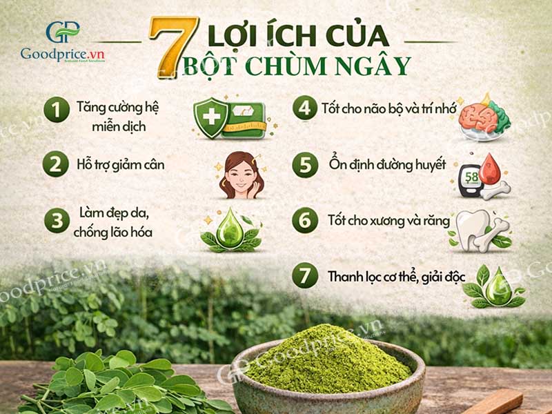 Practical Applications of Moringa Powder