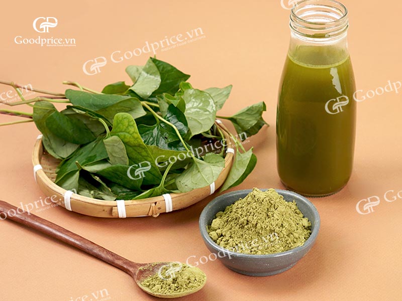 Ứng dụng thực tế của bột diếp c&aacute; trong sản xuất c&ocirc;ng nghiệp