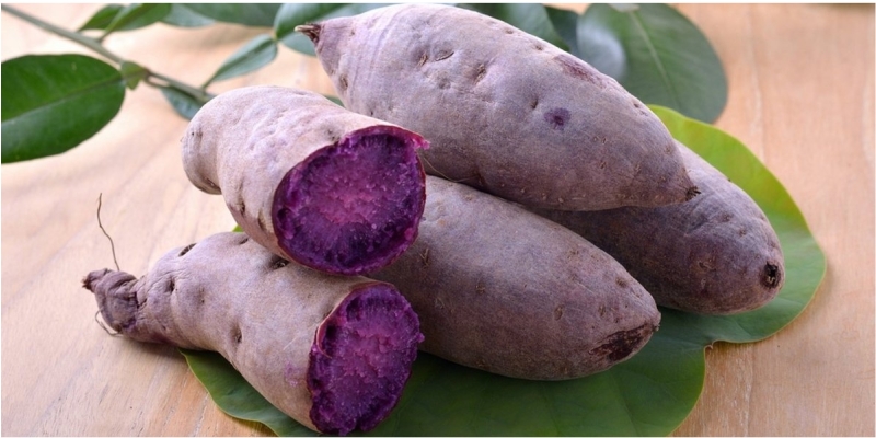 Khoai Lang Tím | Tinh Bột Khoai Lang
