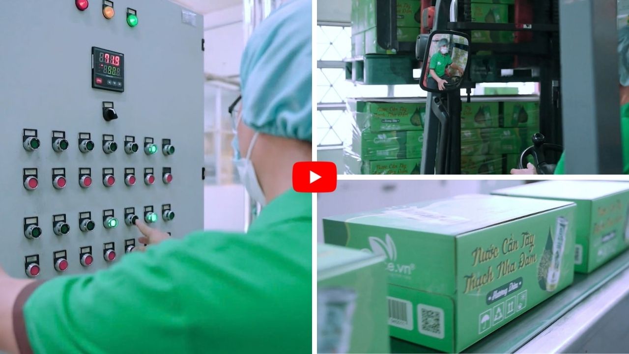 Quy trình sản xuất nước cần tây thạch nha đam hương dứa Goodprice Việt Nam