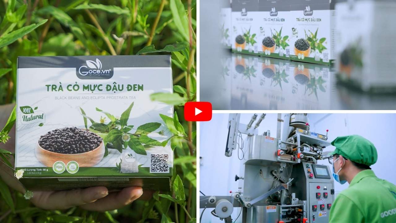 Quy trình sản xuất trà cỏ mực đậu đen Goodprice Việt Nam