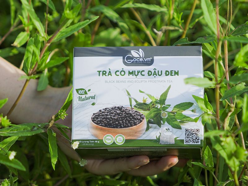 Goodprice Vietnam black beans and eclipta prostrata tea