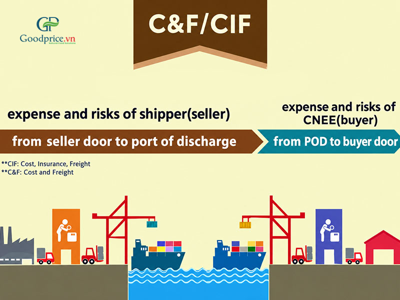 CIF (Cost, Insurance and Freight)