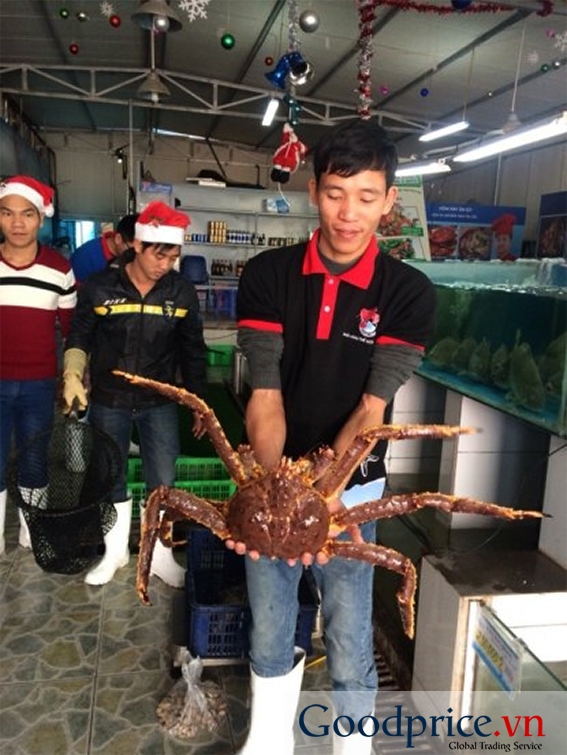 Cua Hoàng Đế KING CRAB ALASKA, NORWAY