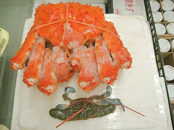 cua king crab đông lạnh