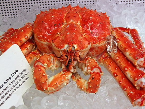 cua king crab đông lạnh