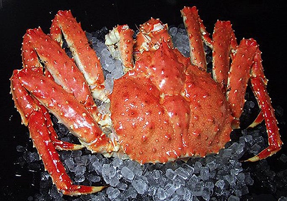 cua king crab đông lạnh