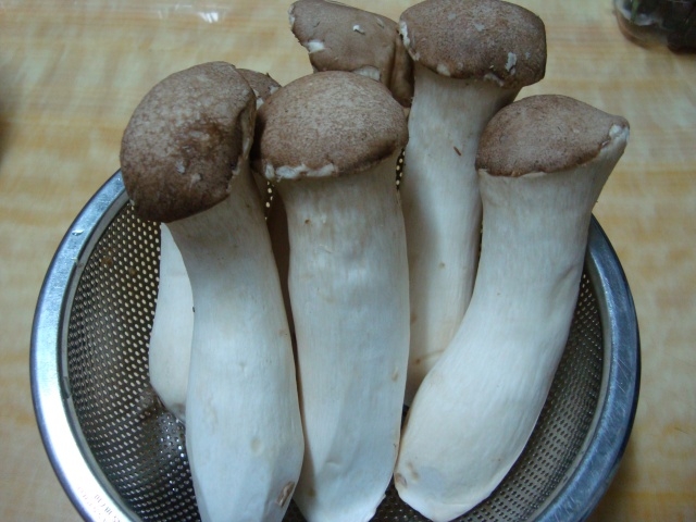 nấm đùi gà