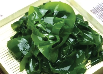 10 uses of seaweed for health
