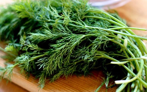 8 amazing benefits of fennel