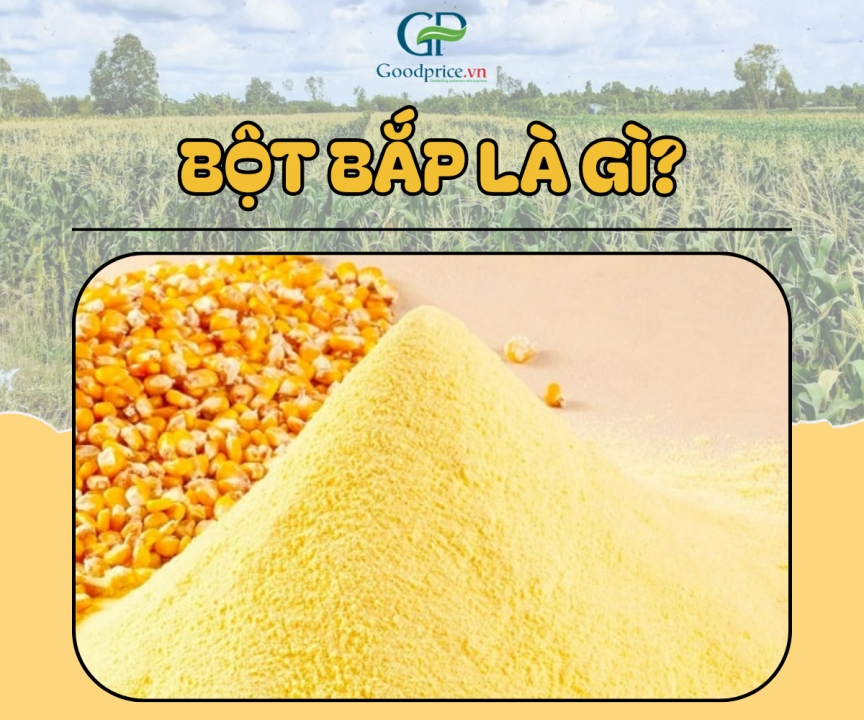 BỘT BẮP LÀ GÌ? CÔNG DỤNG CỦA BỘT BẮP TRONG NẤU ĂN BẠN CẦN BIẾT